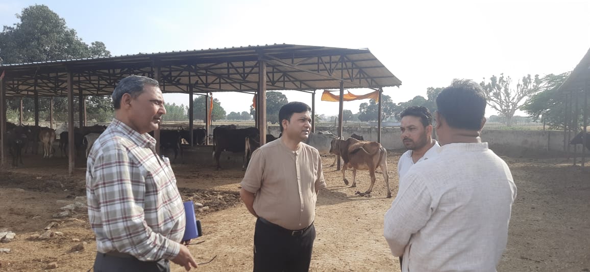 डीएम रमेश रंजन ने स्थाई एवं अस्थाई गौआश्रय स्थलों का किया निरीक्षण