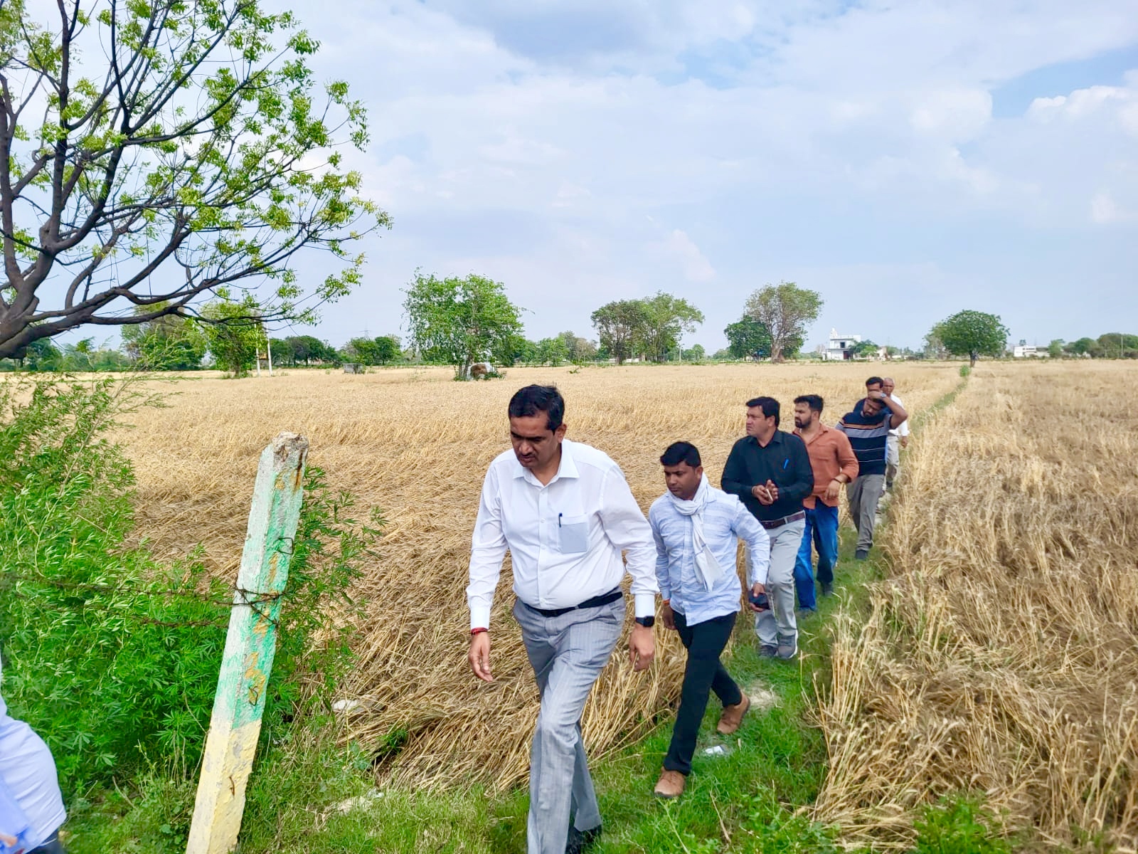 किसानों की फसलों का जिला अधिकारी ने किया निरीक्षण