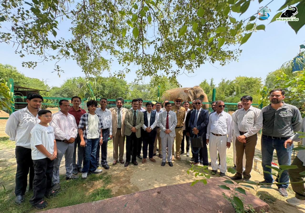 वन्यजीव अपराध पर सख्ती के साथ संवेदनशीलता का मंत्र, करुणा से होगा बदलाव: न्यायमूर्ति सत्य वीर सिंह