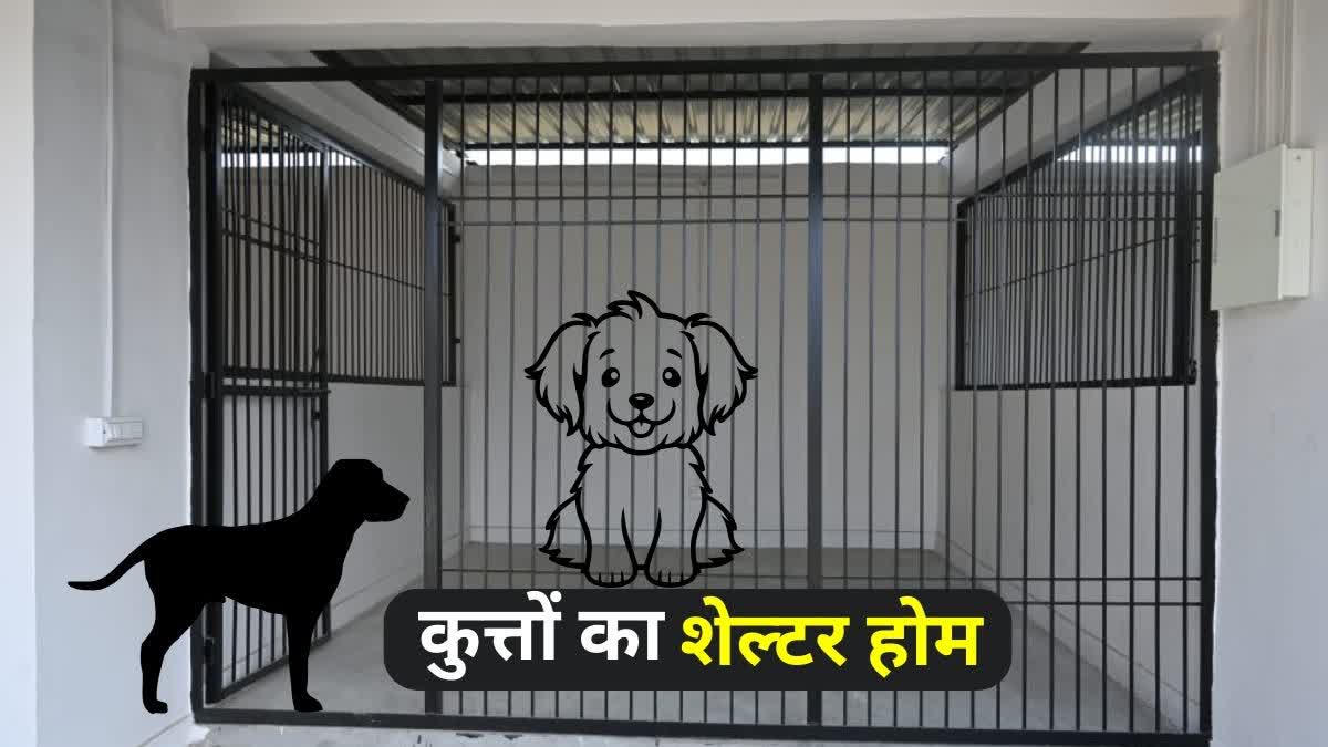आवारा कुत्तों से निजात दिलाएंगे शेल्टर होम व एबीसी सेंटर